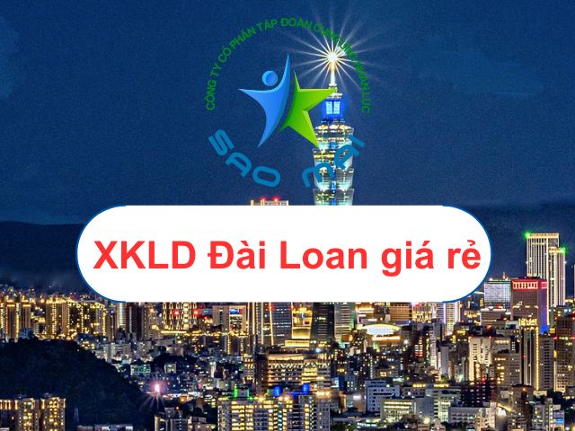 XKLD Đài Loan giá rẻ hay không? Tìm hiểu chi phí đi xuất khẩu năm 2024