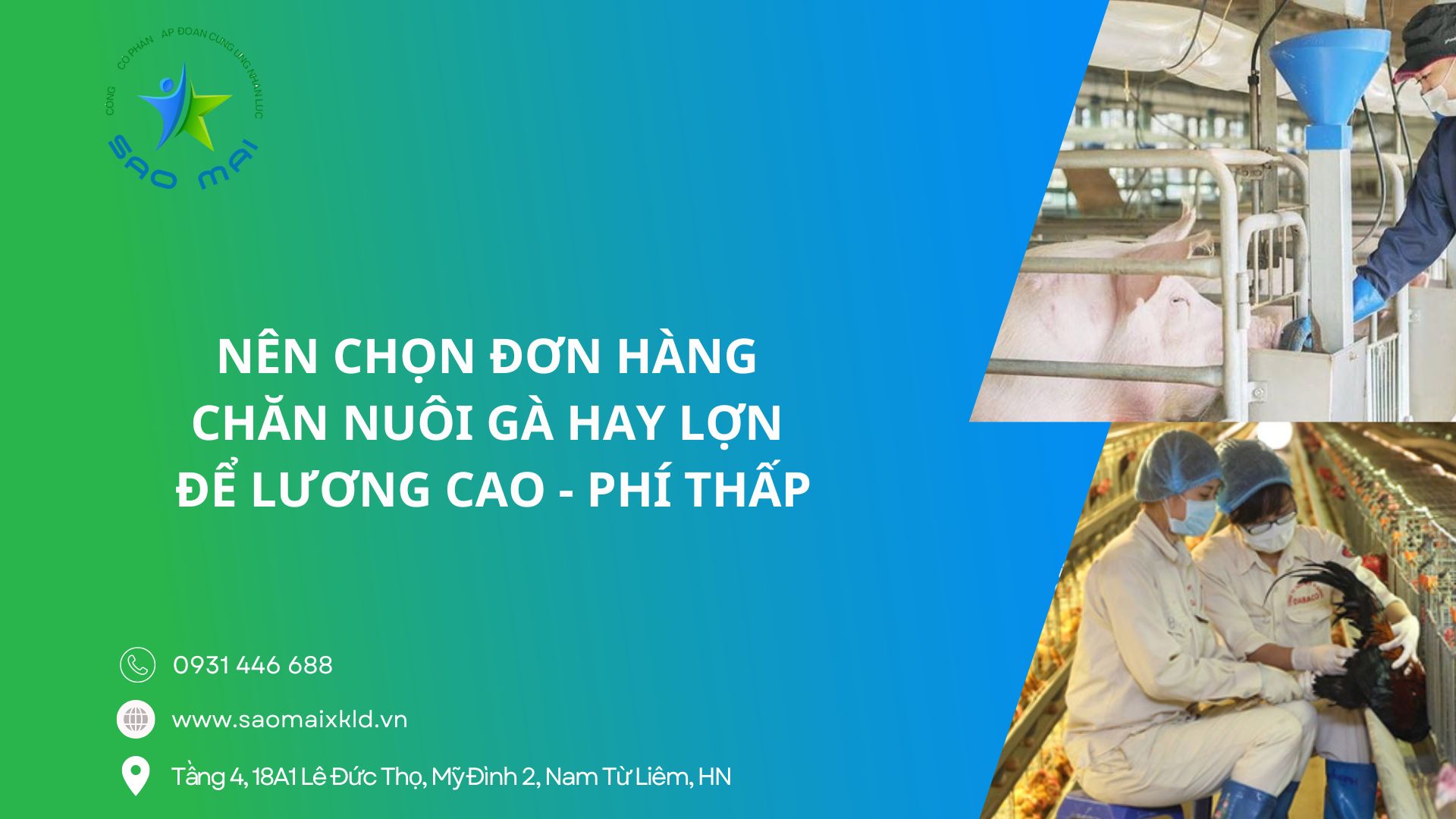 Đi Đài Loan nên chọn đơn hàng nông nghiệp chăn nuôi gà hay lợn thì có lương cao hơn và chi phí thấp hơn?