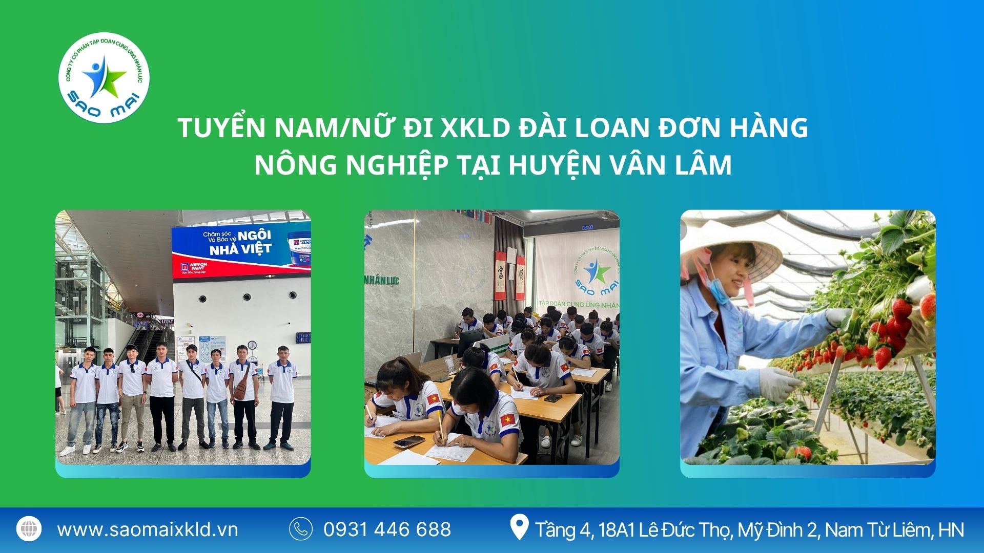 Tuyển nam, nữ đi XKLD Đài Loan – Đơn hàng nông nghiệp tại huyện Vân Lâm (Yunlin County - Taiwan)