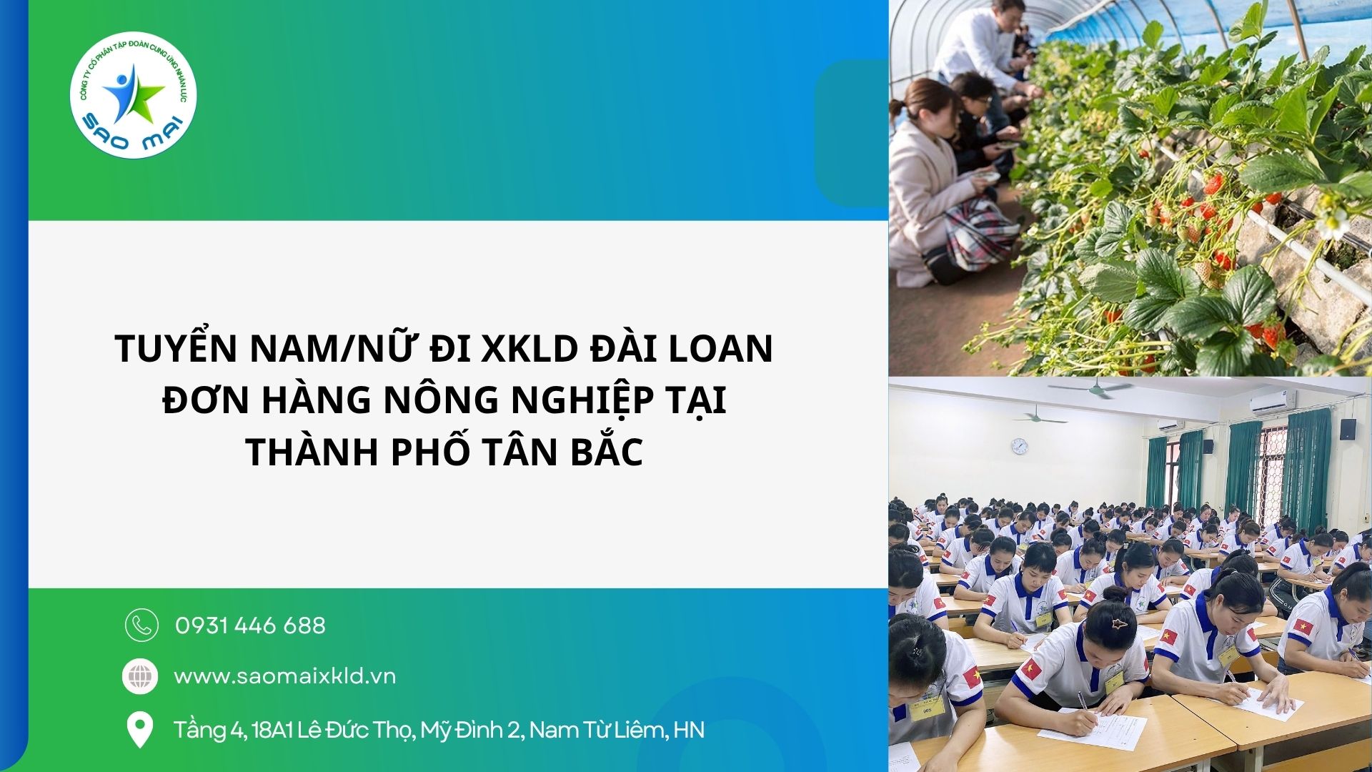 Tuyển nam, nữ đi XKLD Đài Loan – Đơn hàng nông nghiệp tại thành phố Tân Bắc (New Taipei City - Taiwan)