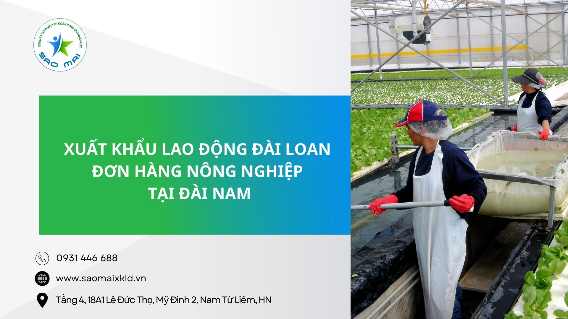 Có nên đi đơn hàng NÔNG NGHIỆP tại Đài Nam khi đi xuất khẩu lao động Đài Loan không. XKLD Đài Loan đơn hàng NÔNG NGHIỆP với chi phí rẻ, bay nhanh