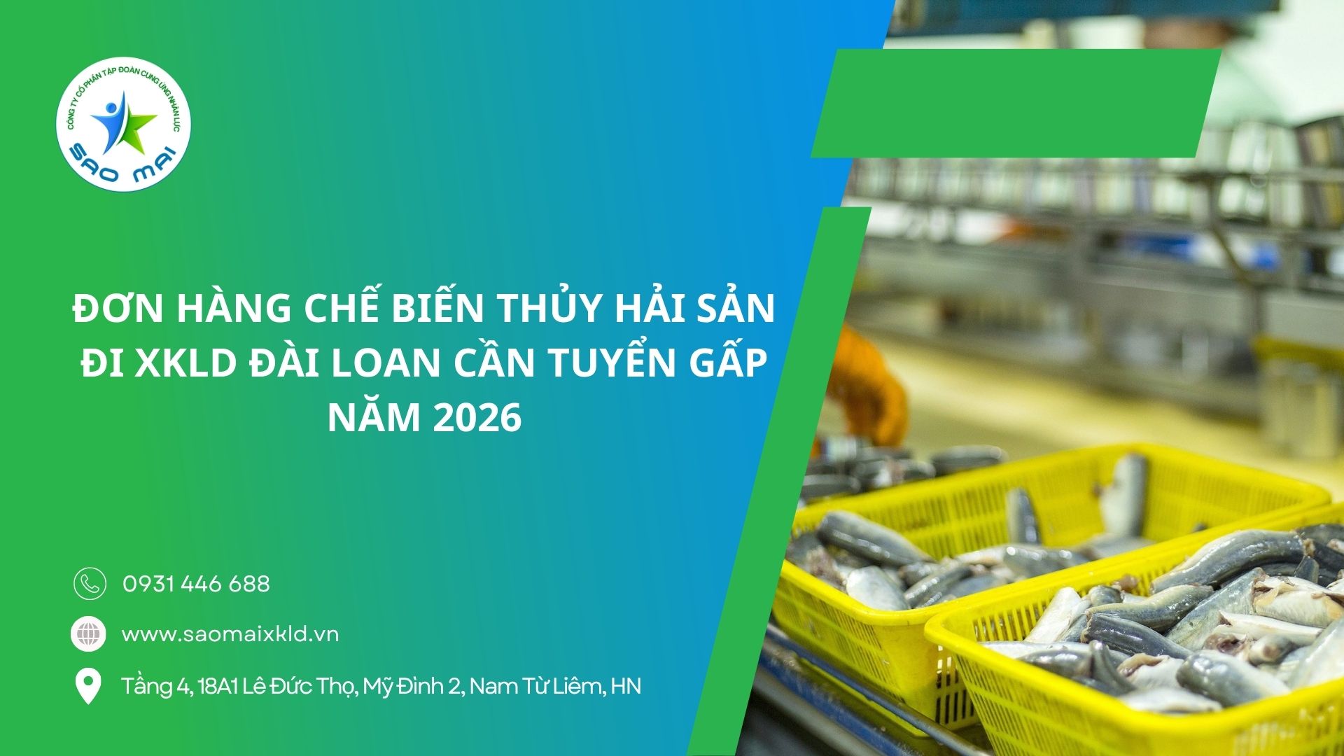 Đơn hàng chế biến thủy hải sản đi xuất khẩu lao động Đài Loan cần tuyển gấp năm 2026