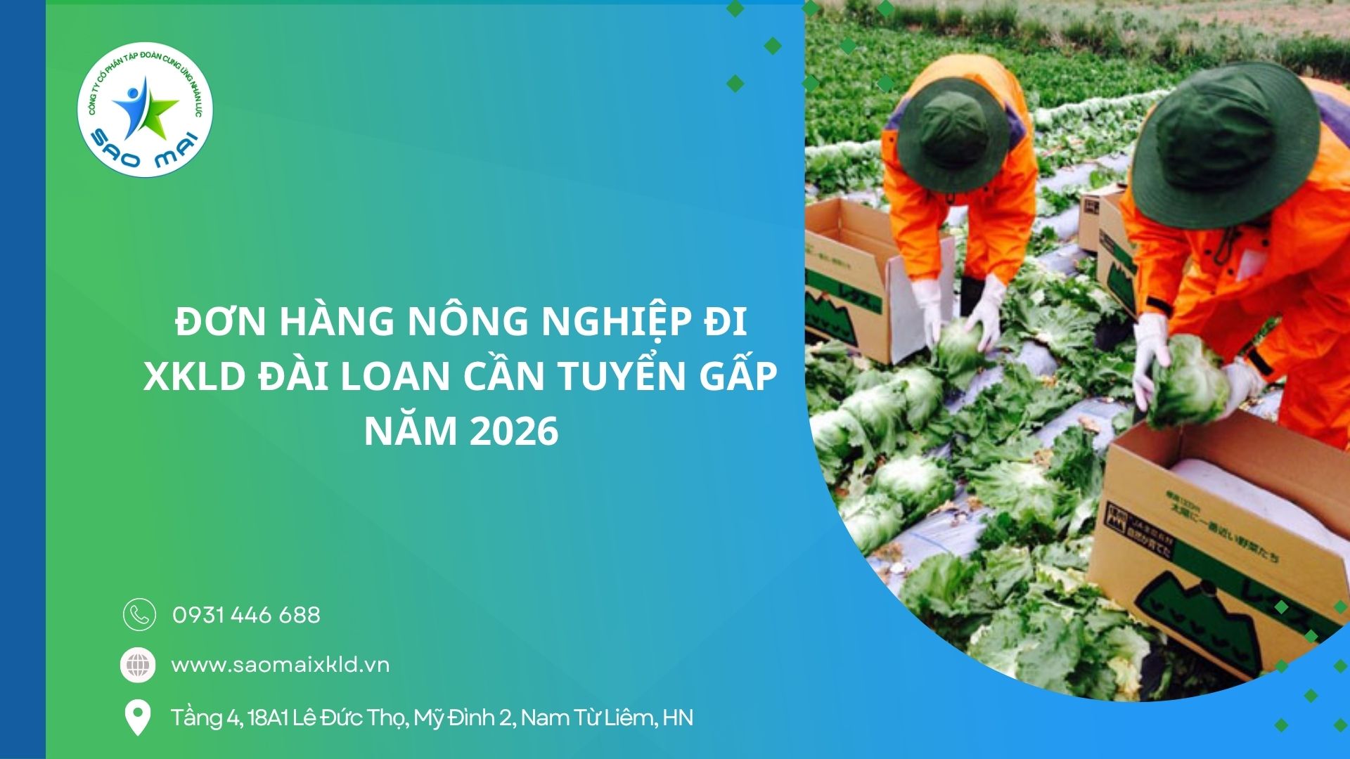 Đơn hàng nông nghiệp đi xuất khẩu lao động Đài Loan cần tuyển gấp năm 2026