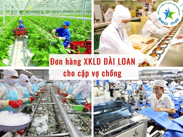 don-hang-xkld-dai-loan-cho-cap-vo-chong-2