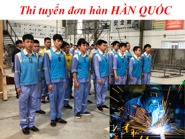 thi-tuyen-don-hang-han-xi-han-quoc