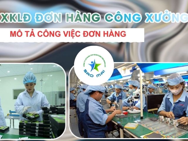 xkld-dai-loan-don-hang-cong-xuong-cho-nam-chi-phi-thap