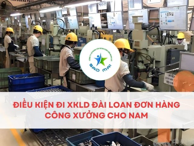 /xkld-dai-loan-don-hang-cong-xuong-cho-nam-chi-phi-thap