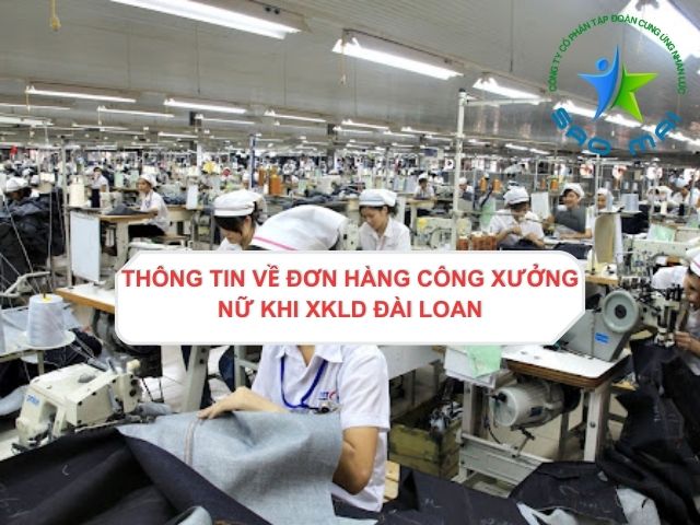 xkld-dai-loan-don-hang-cong-xuong-cho-nu