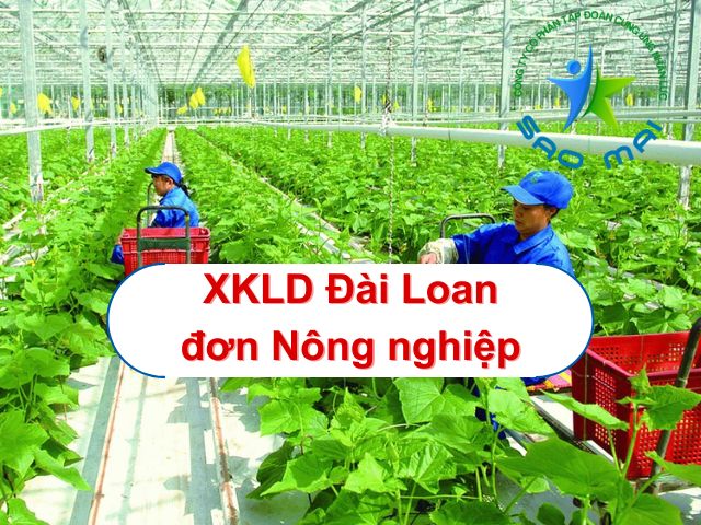 xkld-dai-loan-don-nong-nghiep