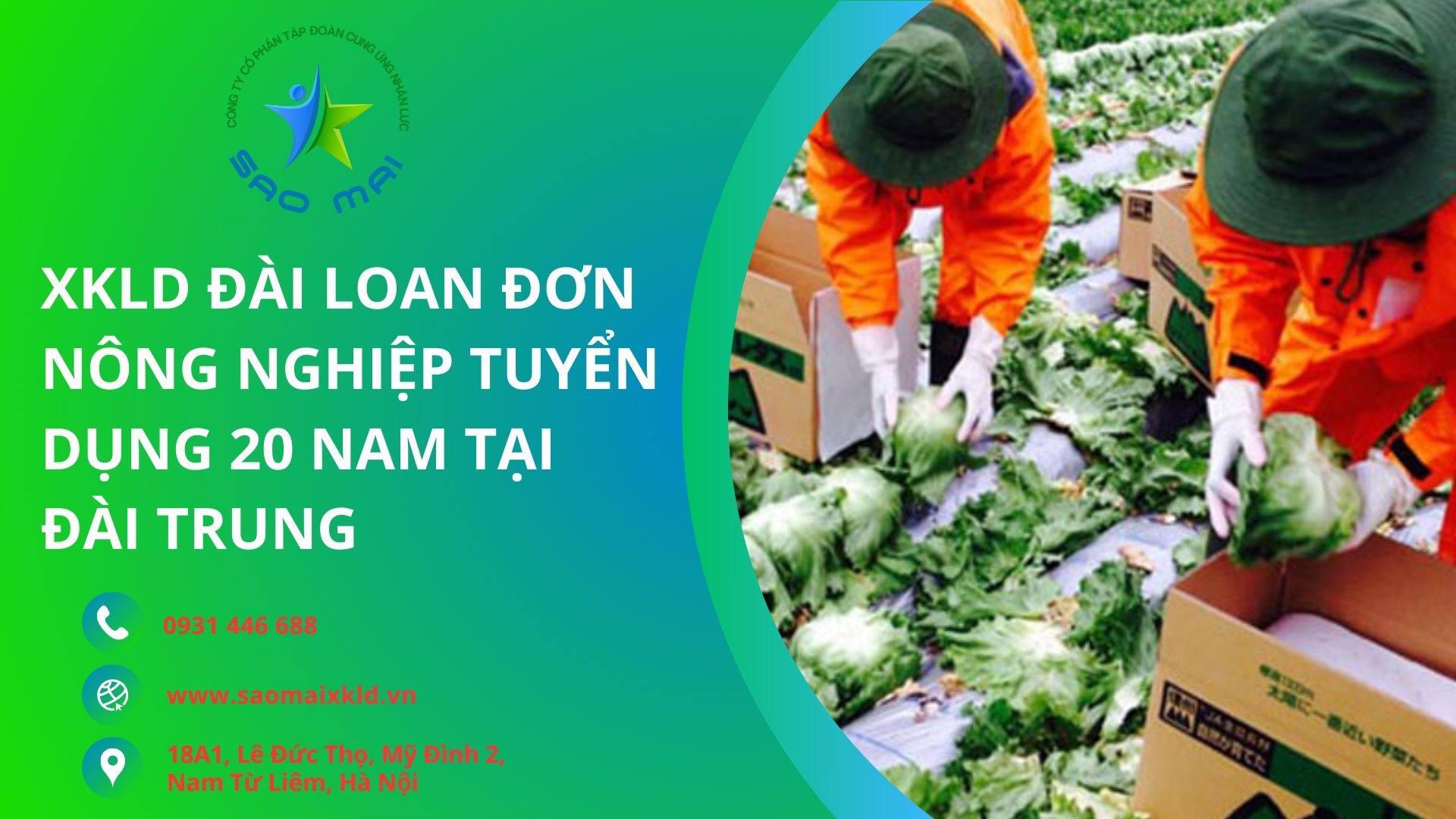 XKLD Đài Loan đơn hàng NÔNG NGHIỆP uy tín, BAY NHANH tuyển dụng 20 Nam làm việc tại CHƯƠNG HÓA 