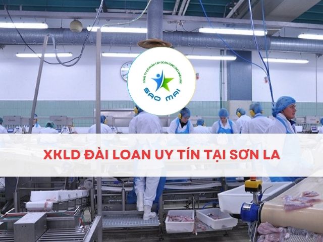 xkld-dai-loan-uy-tin-tai-son-la