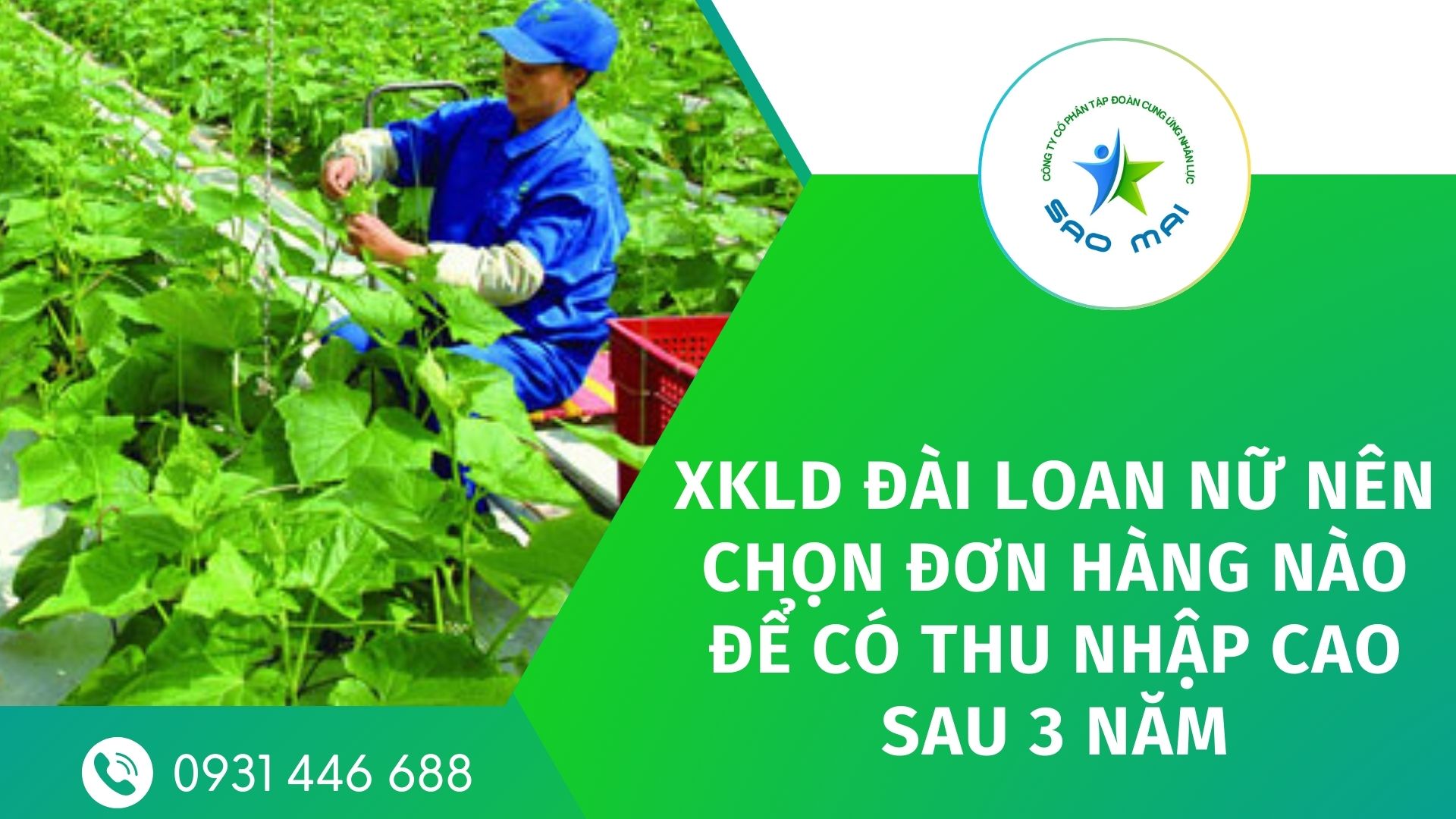 Xuất khẩu lao động Đài Loan nữ nên chọn đơn hàng làm công việc gì để có thu nhập cao sau 3 năm?