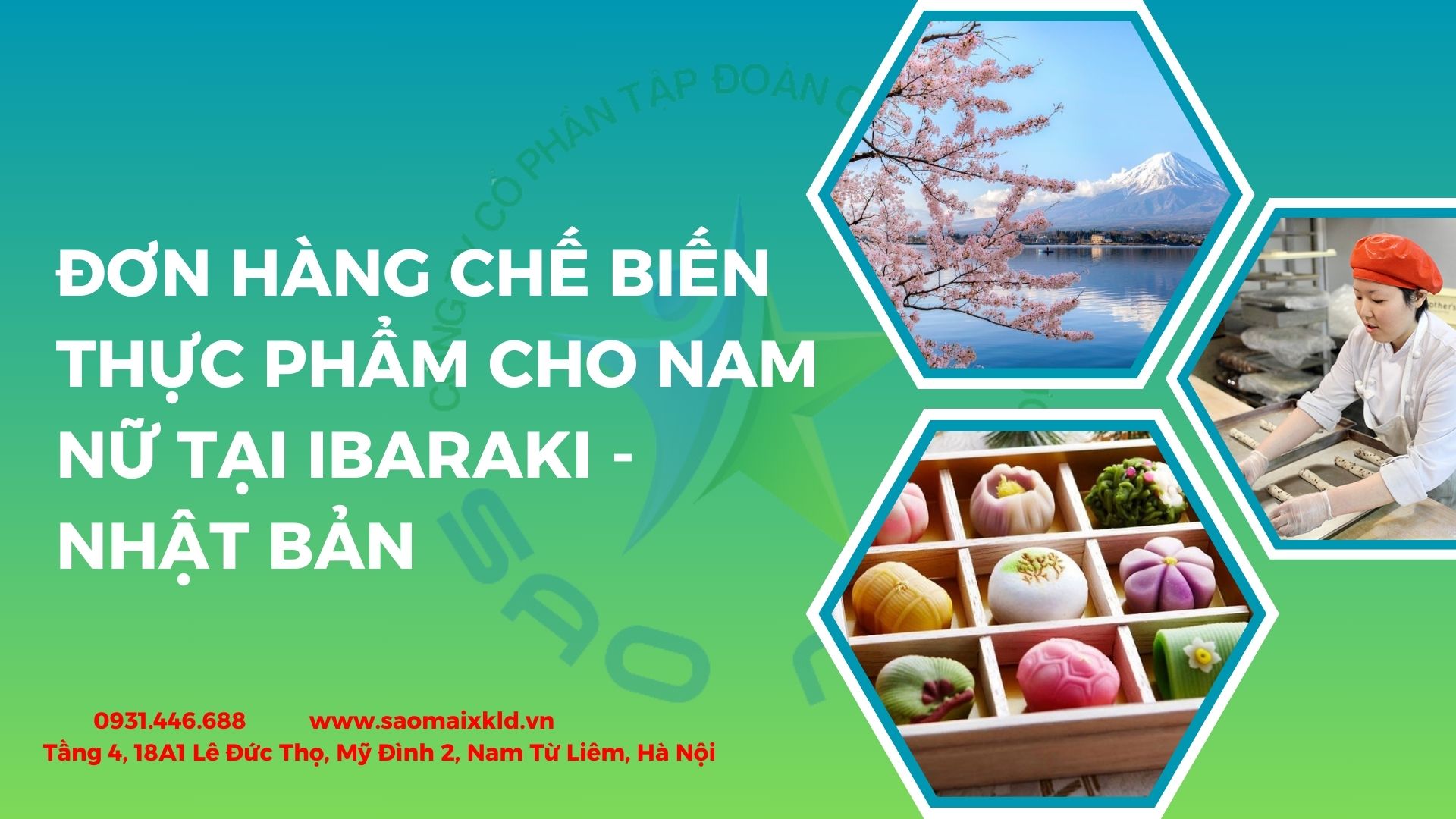 ĐƠN HÀNG CHẾ BIẾN THỰC PHẨM TẠI IBARAKI tuyển dụng lao động nam nữ TĂNG CA NHIỀU